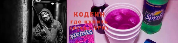 метадон Инта